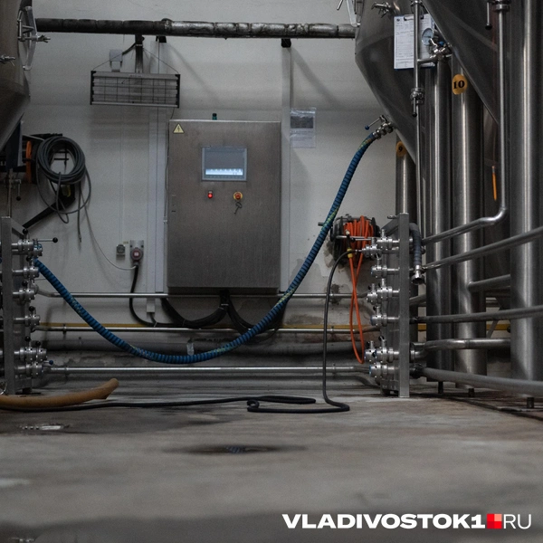 Источник: Елена Буйвол / VLADIVOSTOK1.RU