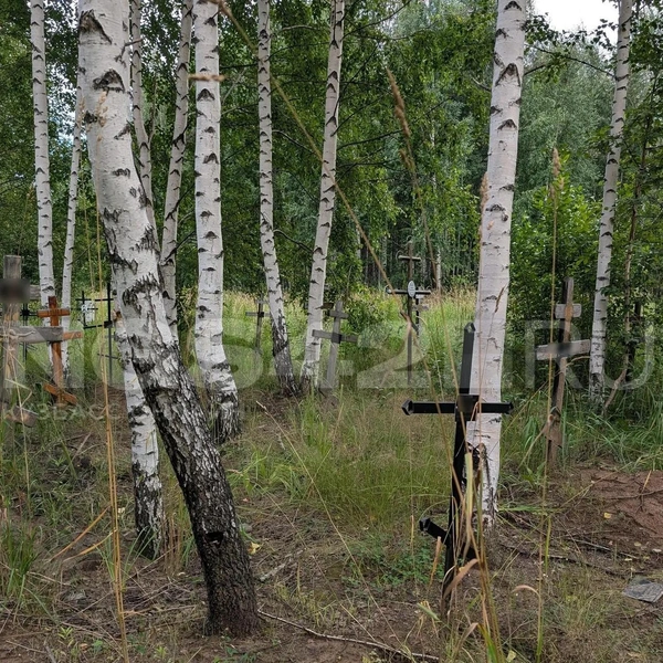 Источник: NGS42.RU