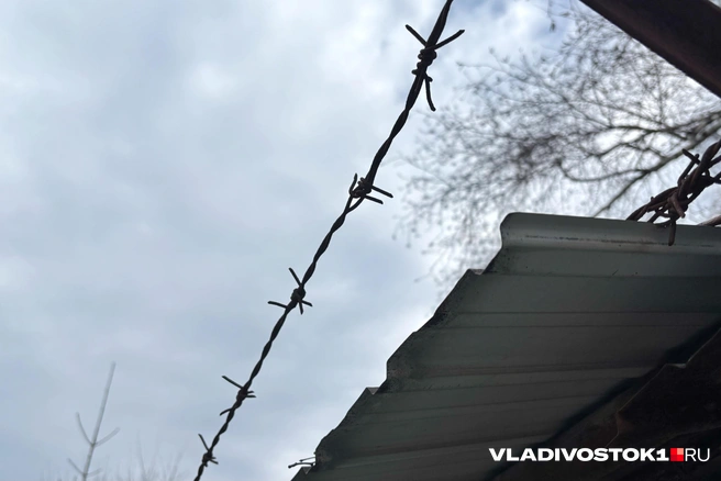 Про судьбу дезертира не сообщается | Источник: Елена Буйвол / VLADIVOSTOK1.RU
