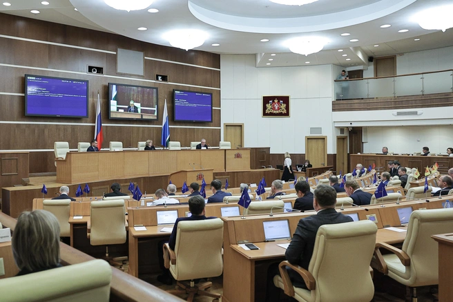 Людмила Бабушкина сообщила, что депутаты продолжат поддерживать бизнес законами | Источник: пресс-служба Законодательного Собрания Свердловской области