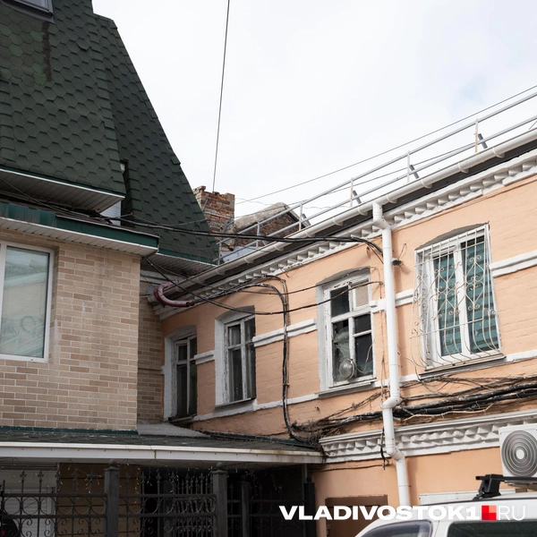 Источник: Елена Буйвол / VLADIVOSTOK1.RU