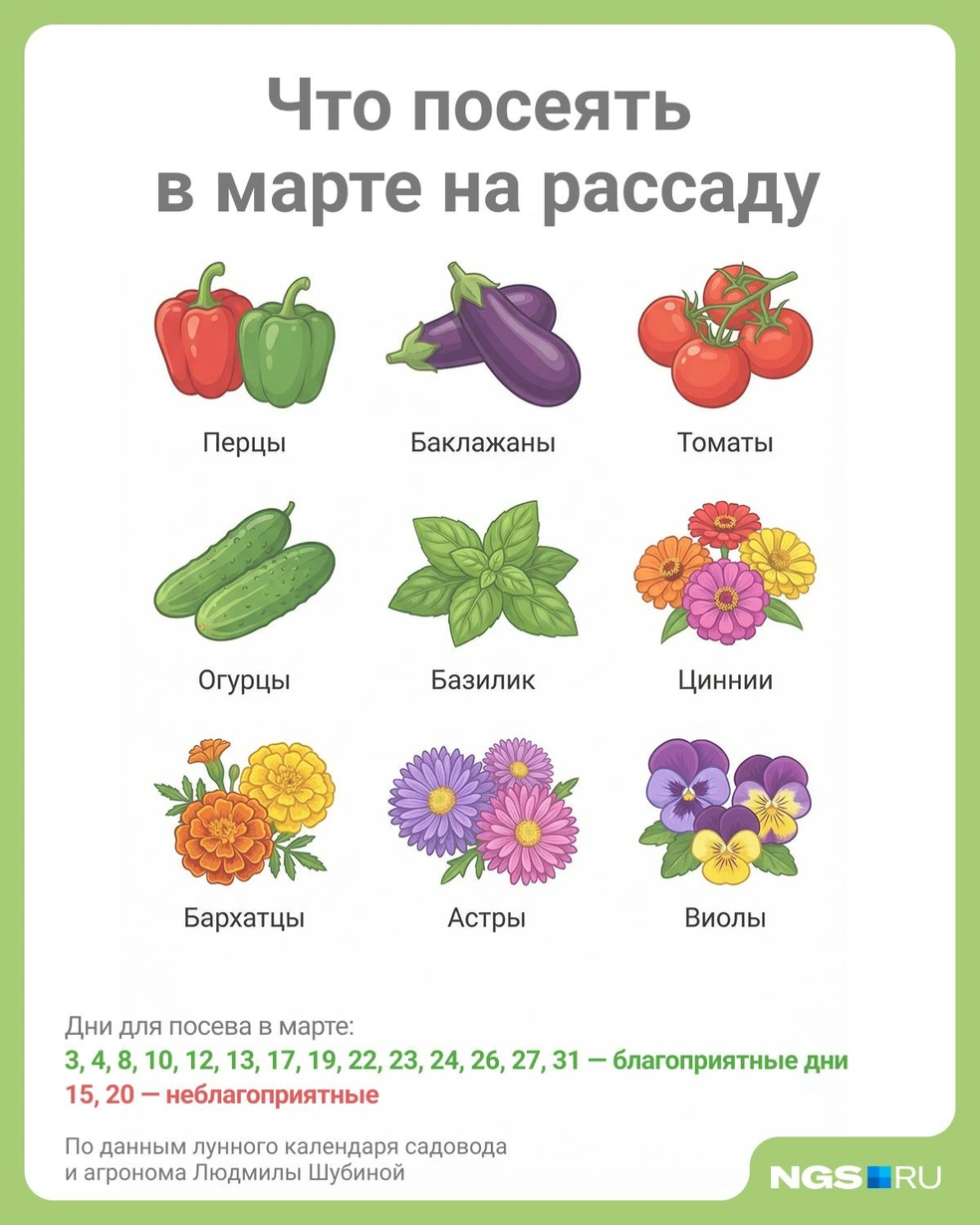 Источник: Юрий Орлов / Городские медиа
