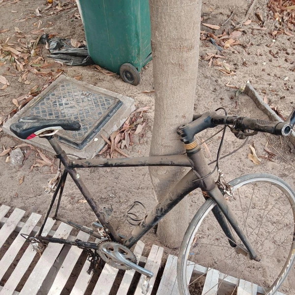 Этот «велосипед» Коля нашел на работе | Источник: Николай Михалев