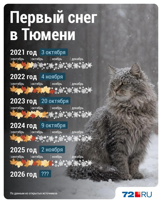 Источник: Дмитрий Гладышев / 72.RU