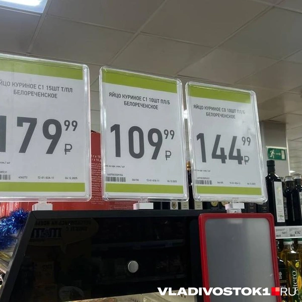 Источник: Елена Буйвол / VLADIVOSTOK1.RU