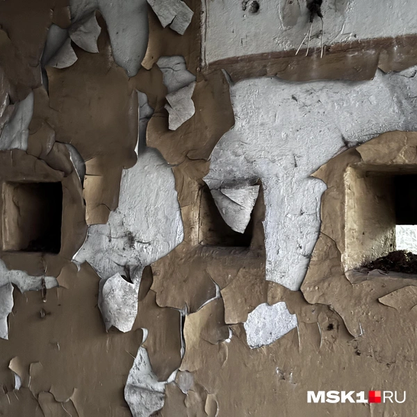 Источник: Алина Мельникова / MSK1.RU