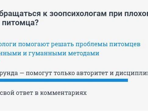 81% участников опроса сделали ставку на авторитет и дисциплину при воспитании собаки