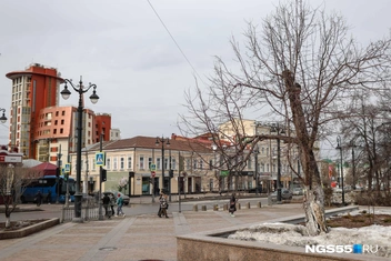 Мы взяли маленький кусочек ветки, которую уже отломали птицы | Источник: Евгений Софийчук / NGS55.RU