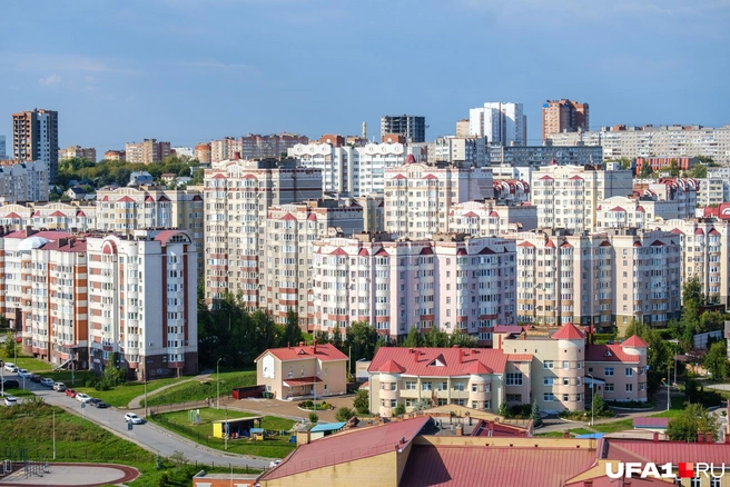 Зеленая роща с интересного ракурса | Источник: Булат Салихов / UFA1.RU