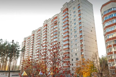 Котенок спасен из вентиляции в Воронеже при участии мэра