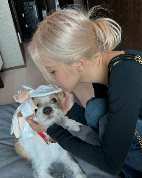 Источник: @roses_are_rosie