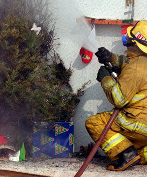 Как вызывать скорую, полицию и других полезных пожарных во время новогодней лихорадки