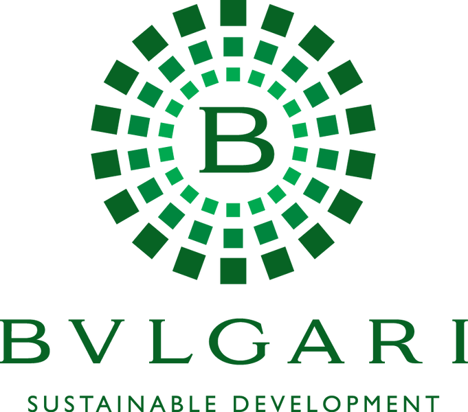 Новаторское настоящее ради ответственного будущего: как Bvlgari помогает детям, врачам и планете