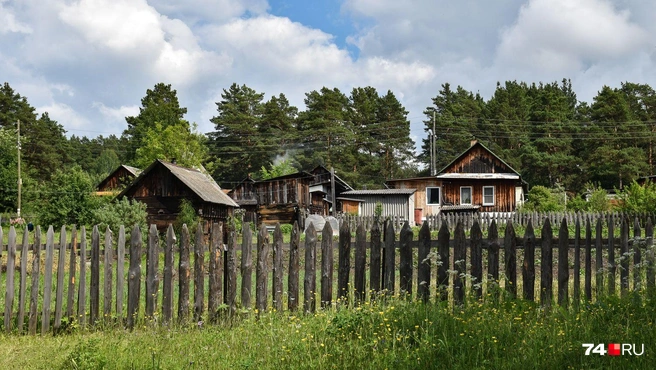 Оскал | Источник: Артем Краснов