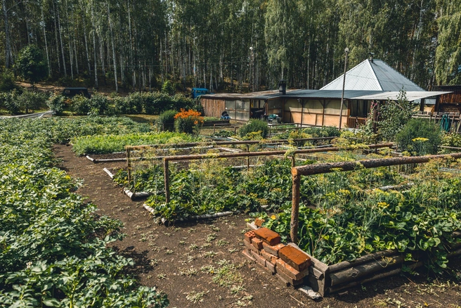 Не сажайте одни и те же растения на одном месте из года в год | Источник: Наталья Лапцевич / 74.RU