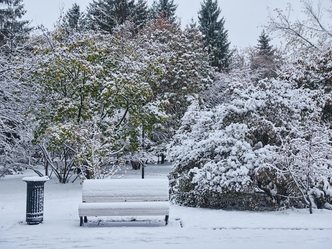 Там, где вчера была осенняя грязь, теперь лежит чистый белый покров. | Источник: Александр Ощепков / NGS.RU