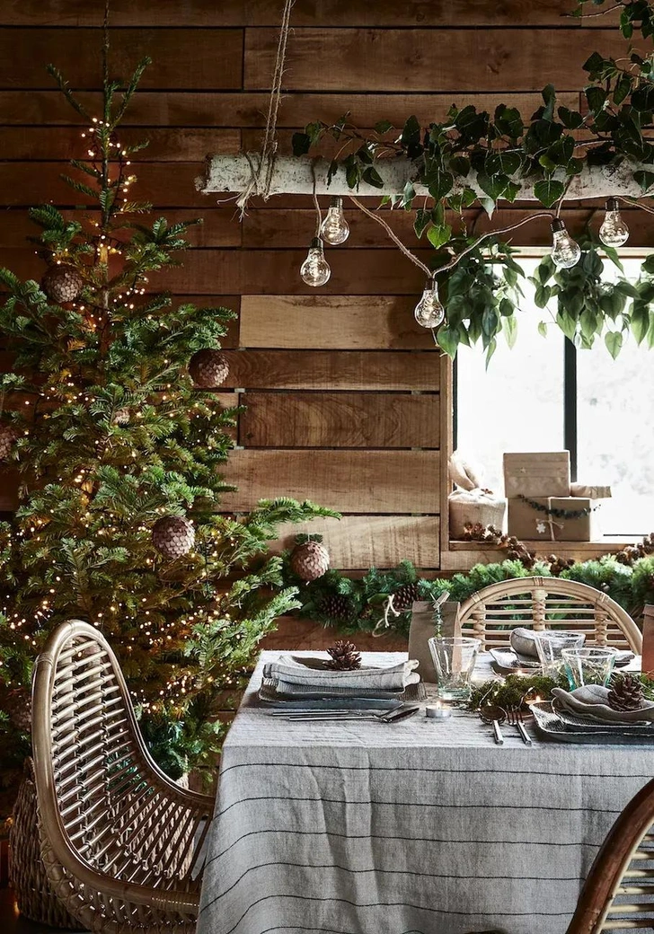 Как выбрать елку на Новый год