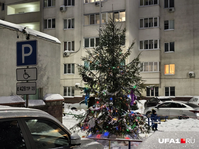А вечером на некоторых даже гирлянды горят | Источник: Булат Салихов / UFA1.RU