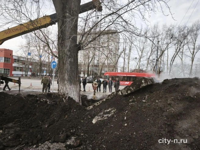 Источник: www.city-n.ru
