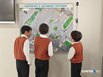 Источник: Тамара Ван-Фу-Ли / CHITA.RU