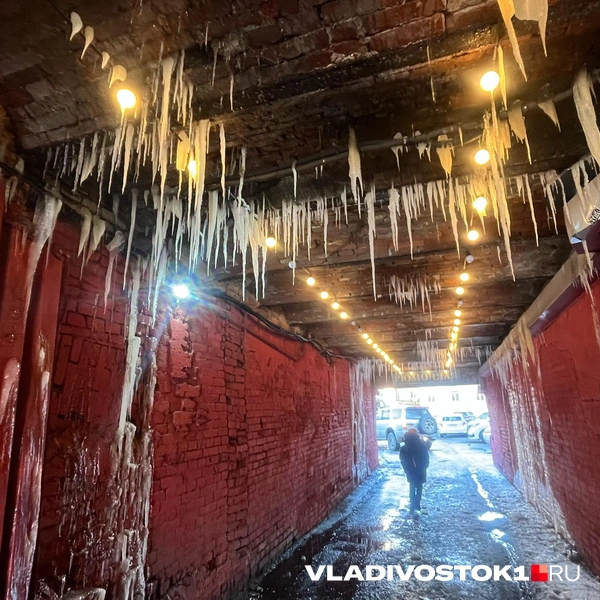 Источник: Елена Буйвол / VLADIVOSTOK1.RU