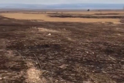 Сгорело 0,5 га травы из-за окурка в Читинском округе