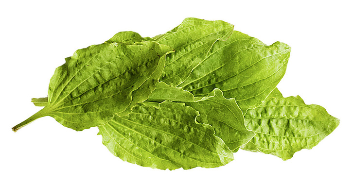 iStock