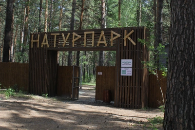 Гостиницу и общепит построят в Курганском экопарке