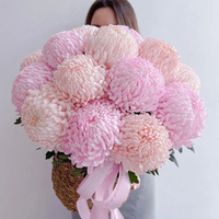 Аватарка vika.demidova.86