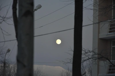 Мурманскую область ждут снег и морозы до -25 на выходных