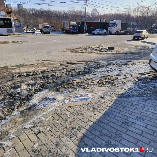 Источник: Елена Буйвол / VLADIVOSTOK1.RU