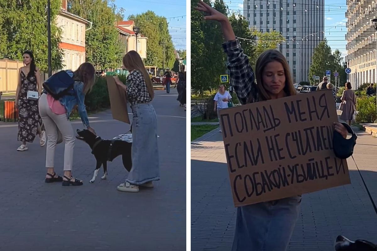 Жителям Архангельска предложили погладить крупную собаку без намордника: как реагировали прохожие