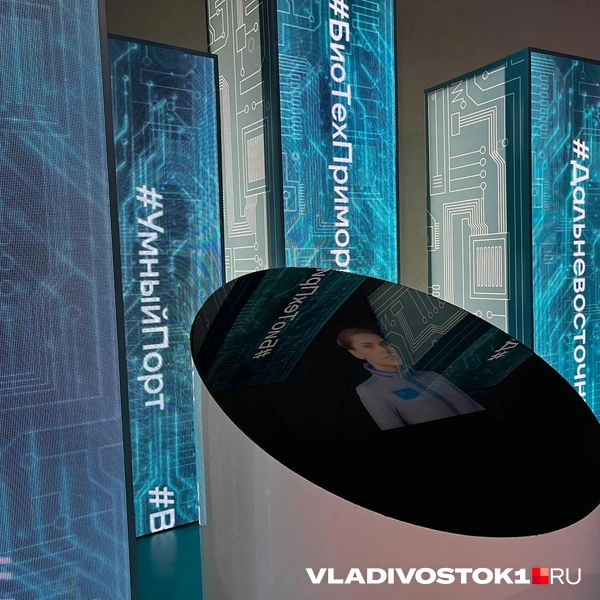 Источник: Алиса Князева / VLADIVOSTOK1.RU
