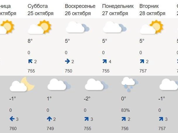 Прогнозируется облачность | Источник: Метеорологический сервис
