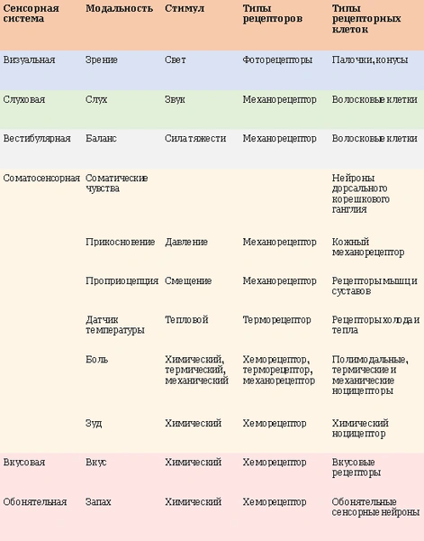 Седьмое чувство: как мы на самом деле воспринимаем, что происходит снаружи и внутри нас