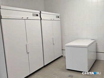 Источник: Тамара Ван-Фу-Ли / CHITA.RU