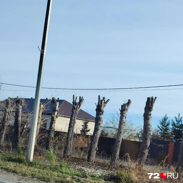 Источник: читатель 72.RU