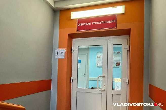 За 10 лет рождаемость в Зауралье упала почти в 2 раза | Источник: Елена Буйвол / VLADIVOSTOK1.RU