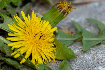 17 апреля в Приморье ожидается ветер, туман и дожди