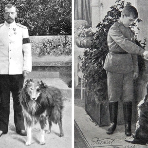 Что случилось с домашними животными Романовых после трагедии 1918 года