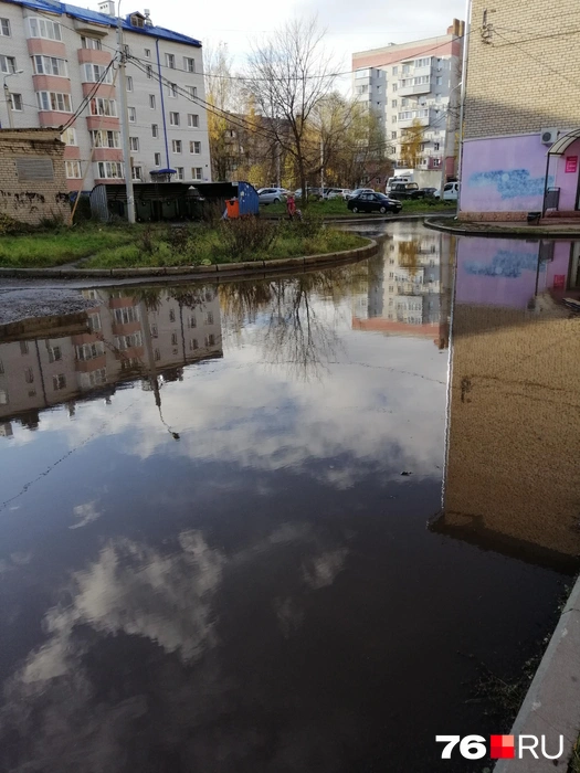 Источник: Эльвира Бузина
