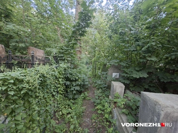 Источник: Алёна Воропаева / Voronezh1.ru