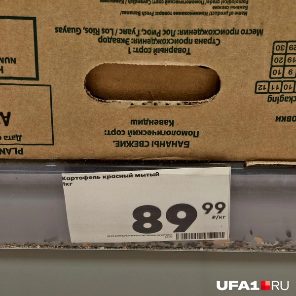 Источник: Булат Салихов / UFA1.RU