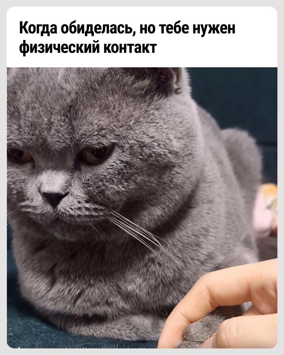 Не обнимашки, но хоть что-то | Источник: Городские медиа