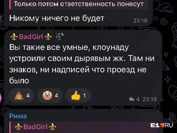 Источник: Читатель E1.RU
