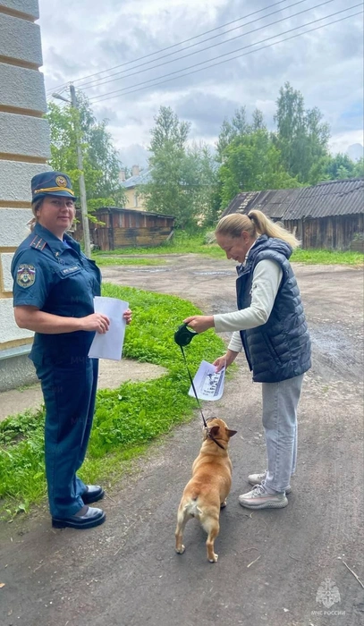 Источник: static.mchs.gov.ru