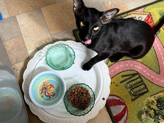 Источник: «Фонтанка.ру»