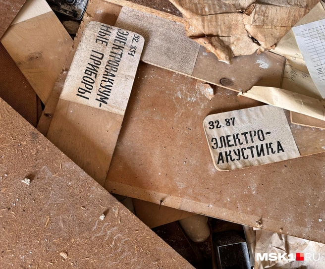 Источник: Алина Мельникова / MSK1.RU