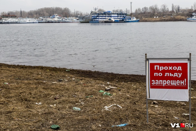ЧП произошло в Волгоградском затоне рядом с хутором Бобры | Источник: Алексей Волхонский / V1.RU