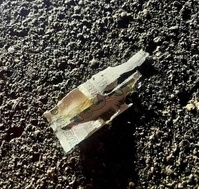 Источник: СК Подмосковья / T.me